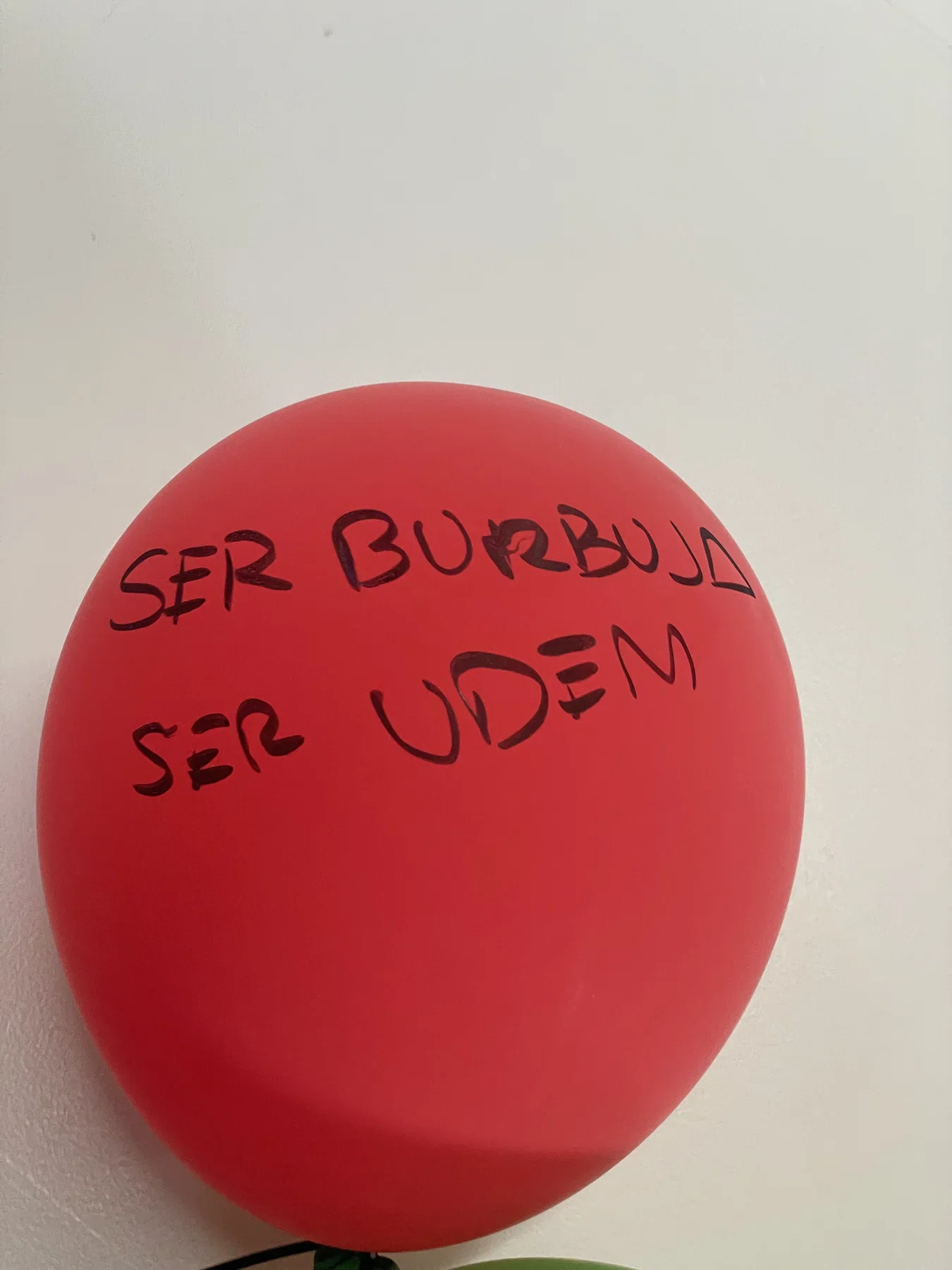 Burbuja project concept